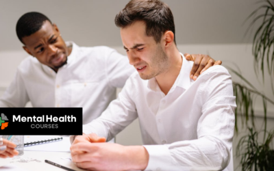 Is MHFA Training Just a Tick-Box Exercise?