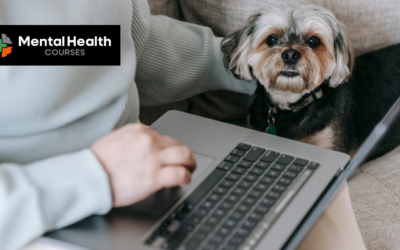 Animal Therapy in the Workplace: Why More Offices Are Welcoming Dogs to Support Mental Health