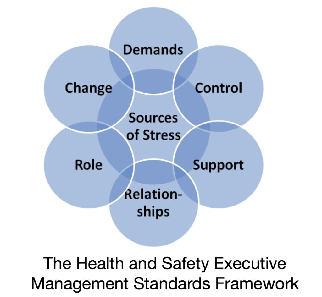 mental health risk assessment